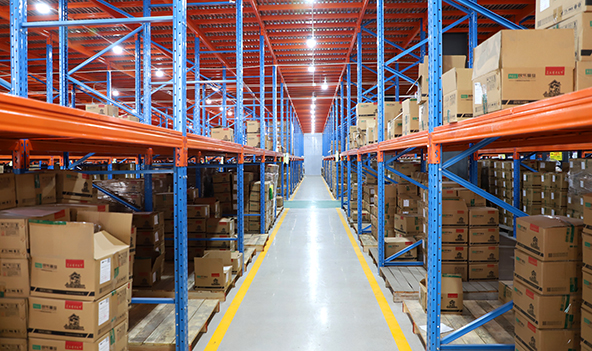 Stainless Steel Fittings Manufacturer